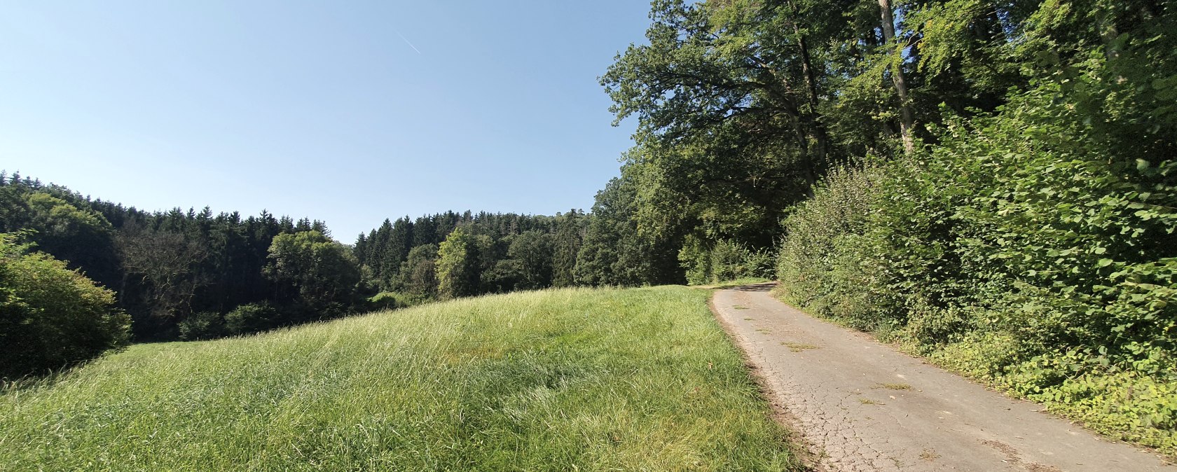 Weg entlang des Waldes, © Tourist-Information Bitburger Land