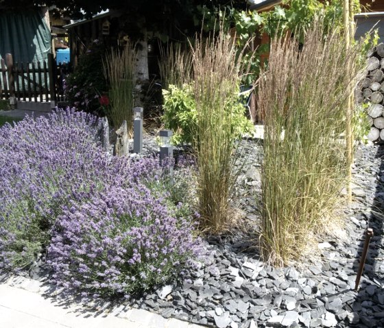 L'été au jardin - un jardin fleuri devant, © Frau Annemie Pint