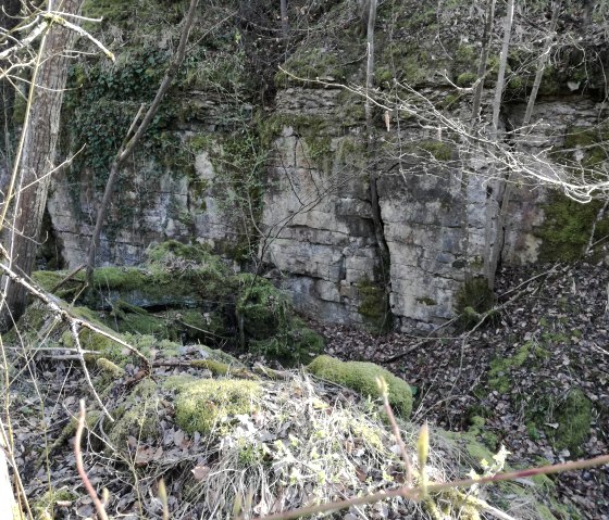 ehemaliger Steinbruch bei Gondorf, © Tourist-Information Bitburger Land_Melanie Salzburger