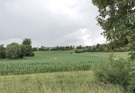 Blick über das Bitburger Gutland