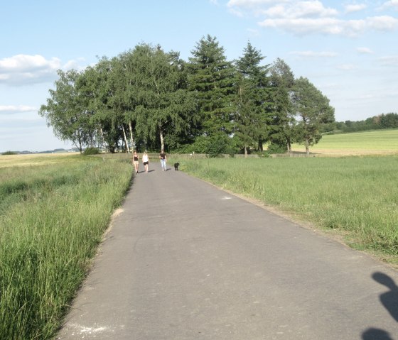 Nattenheimer Hexenweg 2, © Geschichtlicher Arbeitskreis Nattenheim