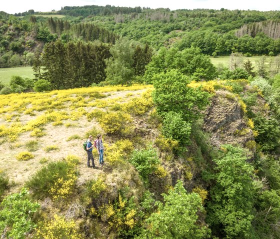 Eifelgold Route, toller Aussichtspunkt auf der Wanderung, © Eifel Tourismus GmbH, Dominik Ketz