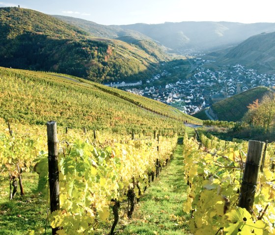 Weinberg im Ahrtal, © Dominik Ketz / Rheinland-Pfalz Tourismus GmbH