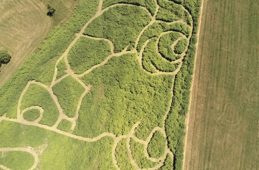 Naturlabyrinth Lausberg, © Leo Lausberg