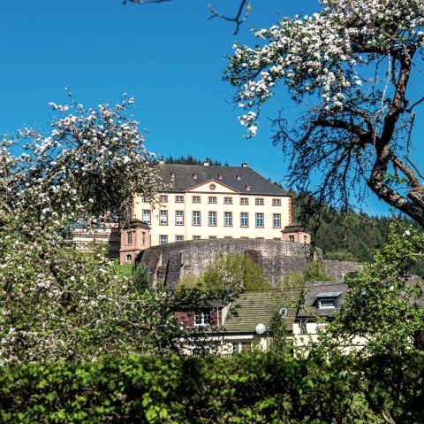 Château de Malberg, © TI Bitburger Land