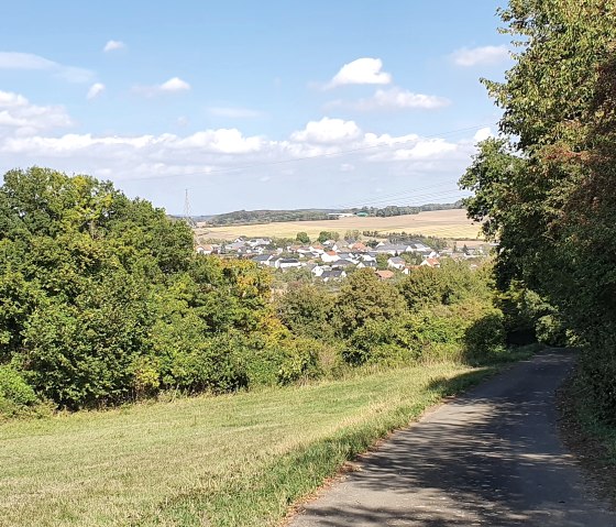 Wanderweg zurück nach Meckel mit Blick auf den Ort, © TI Bitburger Land - Steffi Wagner