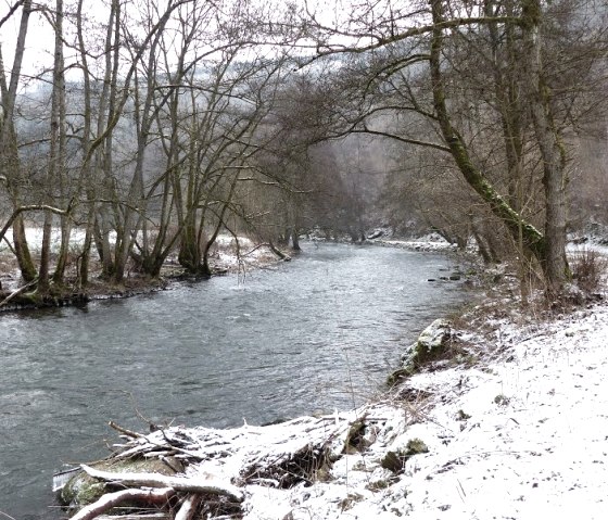 Ringweg - Klaus-Thiel-Weg in Speicher, © Eifelverein Ortsgruppe Speicher