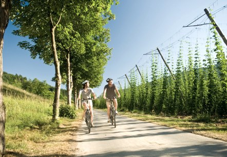 Radfahrer auf dem Prüm-Radweg, © Dominik Ketz Fotografie / Rheinland-Pfalz Tourismus GmbH