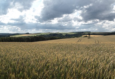 Wallfährte Weidingen, © Naturpark Südeifel, Volker Teuschler