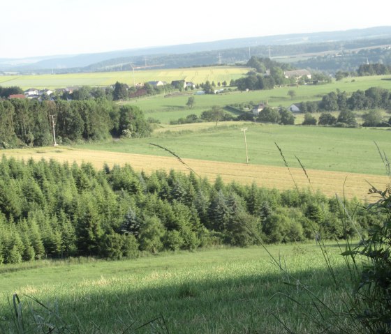 Nattenheimer-Hexenweg-2, © Geschichtlicher Arbeitskreis Nattenheim