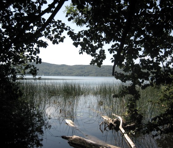 Laacher See, © Gabriele Frijio