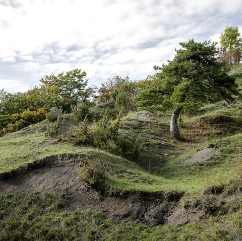 Naturschutzgebiet Scharren bei Dockendorf, © Tourist-Info Bitburger Land