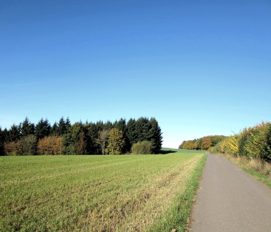 Vier-Jahreszeiten-Spaziergang Niederweiler, © Tourist-Information Bitburger Land_Doris Welter