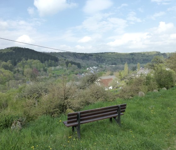 Blick ins Kylltal oberhalb von Hüttingen, © NaturAktivErleben