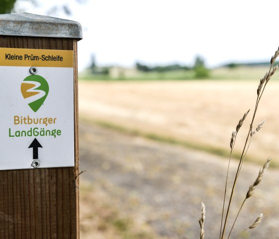 Markierung auf der kleinen Prümschleife in Wißmannsdorf, © TI Bitburger Land