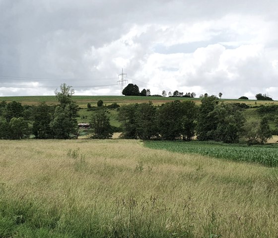 Blick über das Bitburger Gutland