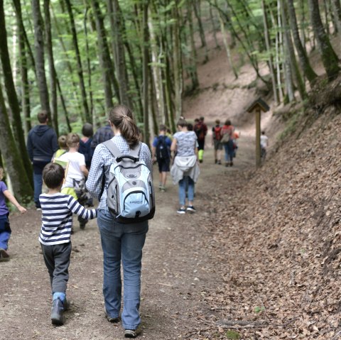 Wandern mit Kindern, © TI Bitburger Land