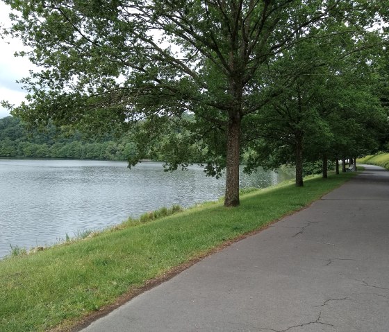 Barrierefreier Weg am Stausee Bitburg, © Naturpark Südeifel