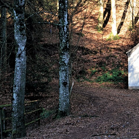 Kapelle bei Baustert Wanderweg Nr. 78 Naturpark Südeifel, © TI Bitburger Land
