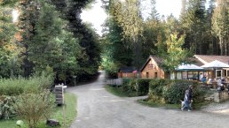 Besucherzentrum Teufelsschlucht mit Waldterrasse, © Felsenland Südeifel Tourismus GmbH