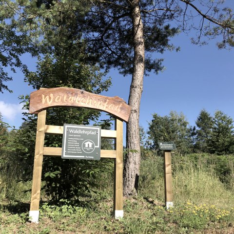 Hinweistafel Waldlehrpfad in Oberkail, © TI Bitburger Land