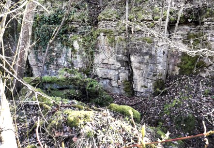 ehemaliger Steinbruch bei Gondorf, © Tourist-Information Bitburger Land_Melanie Salzburger