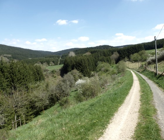 Wunderschöne Blicke ins Ansbachtal, © NaturAktivErleben