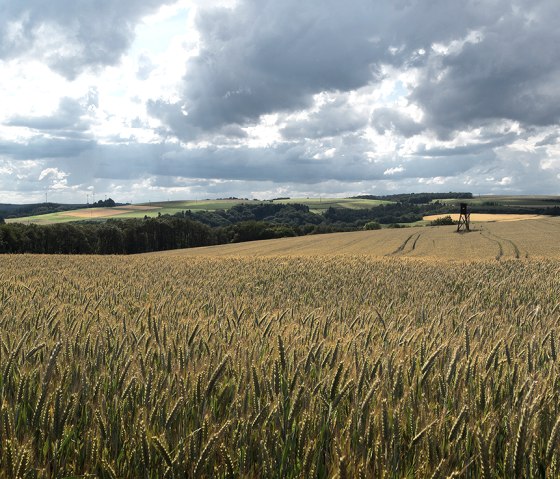 Wallfährte Weidingen, © Naturpark Südeifel, Volker Teuschler