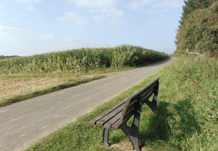 Ruhebank an der Strecke, © Conny Meier