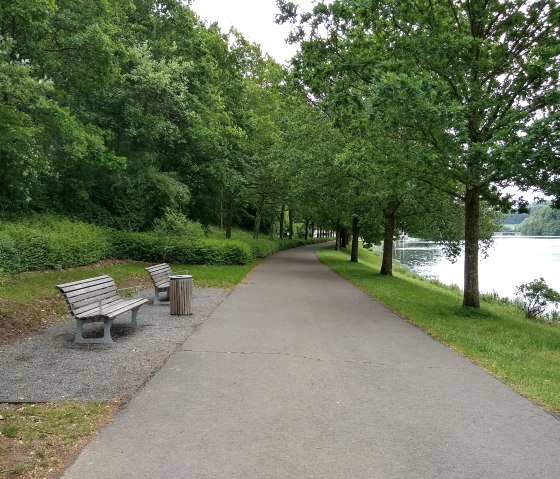 Ruhebänke am barrierefreien Rundweg des Stausee Bitburg, © Naturpark Südeifel