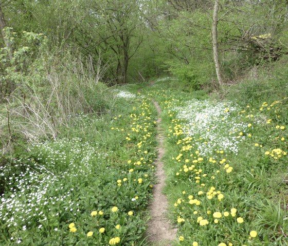 Pfad hinunter nach Philippsheim, © NaturAktivErleben