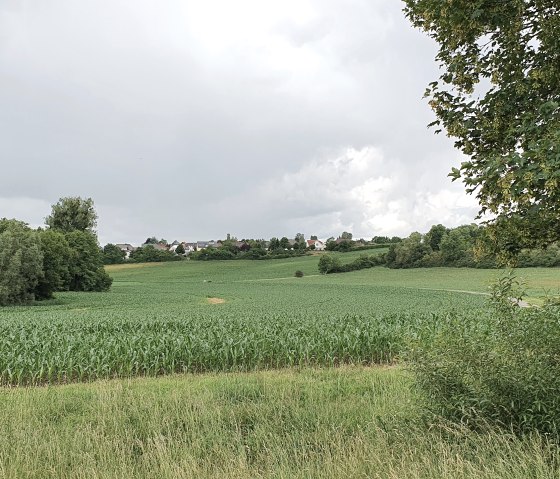 Blick über das Bitburger Gutland