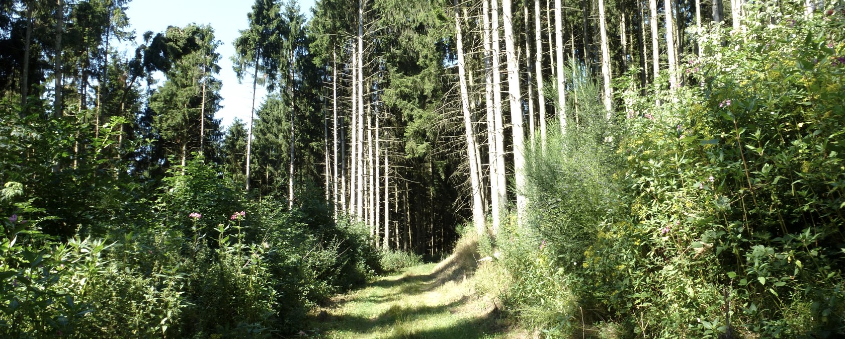 EifelBahnSteig, © NaturAktivErleben