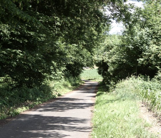 Idyllisches Kallenbachtal  - Radweg, © Tourist-Information Bitburger Land, Melanie Salzburger