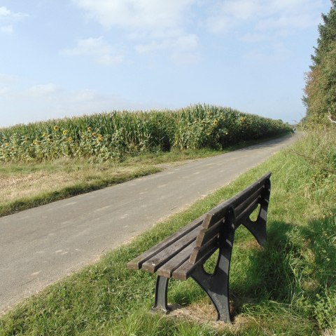 Ruhebank an der Strecke, © Conny Meier