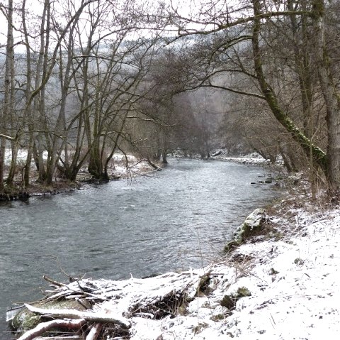 Ringweg - Klaus-Thiel-Weg in Speicher, © Eifelverein Ortsgruppe Speicher