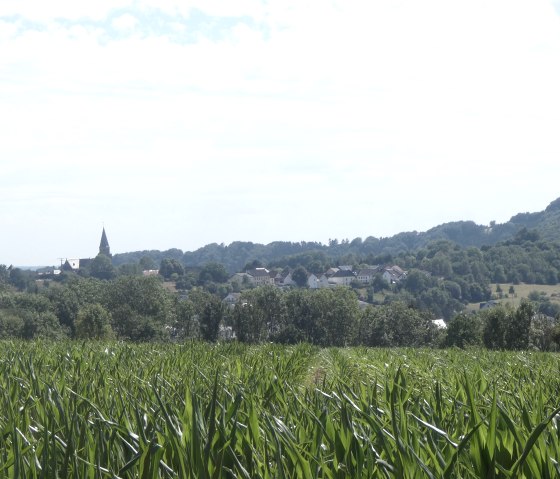 Weitblick bis nach Biersdorf am See, © Tourist-Information Bitburger Land