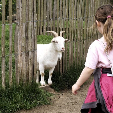 Urlaub auf dem Bauernhof - Kind mit Ziege, © Pixabay