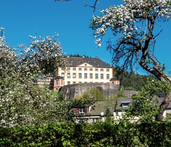 Château de Malberg, © TI Bitburger Land