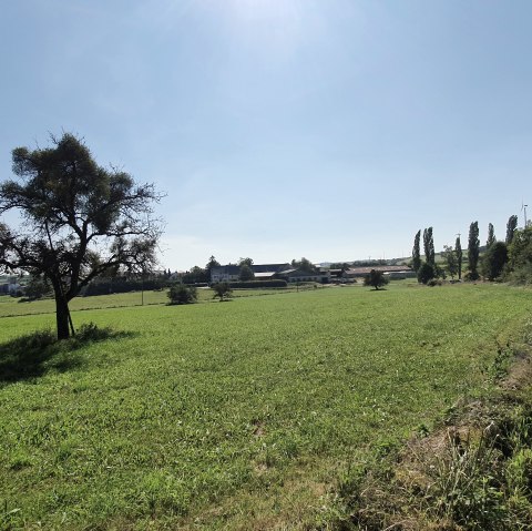 Unterwegs auf dem Bitburger LandGang in Idesheim, © TI Bitburger Land