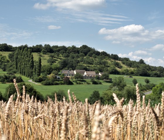 Römische Villa Otrang bei Fließem, © Ferienregion Bitburger Land