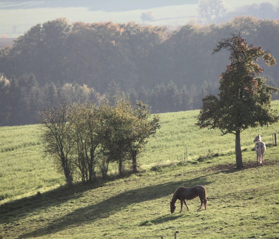 Vue de la propriété