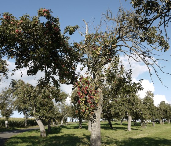 Wanderweg B3 in Badem, © Berscheid