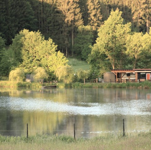 Angelweiher in Burbach, © Angelverein Burbach