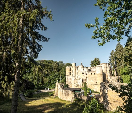 Ruine Schloss Beaufort, © Eifel Tourismus GmbH, Dominik Ketz