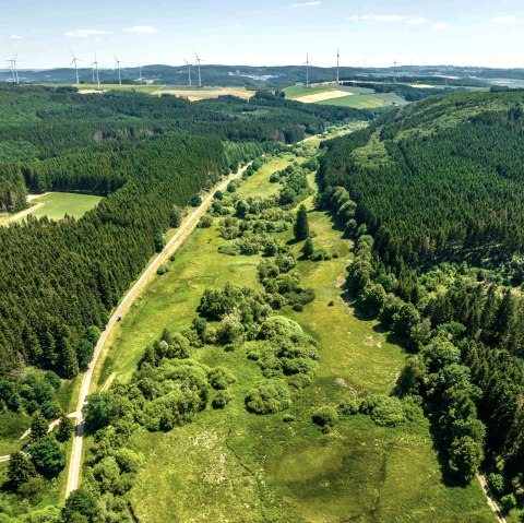 Alfbachtal-Habscheider Mühle, Habscheid-©Eifel Tourismus GmbH, Dominik Ketz, © Eifel Tourimus GmbH, Dominik Ketz