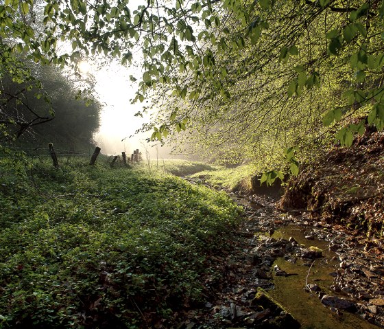 Wallfährte Weidingen, © Naturpark Südeifel, V. Teuschler