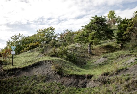 Naturschutzgebiet Scharren bei Dockendorf, © Tourist-Info Bitburger Land