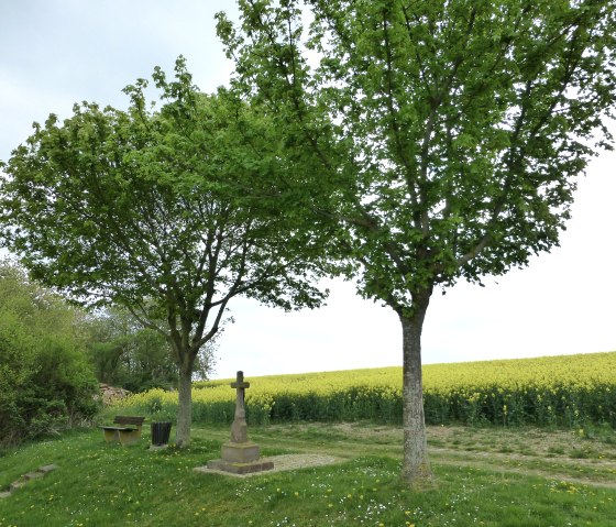 Einladender Rastplatz mit Aussicht, © NaturAktivErleben