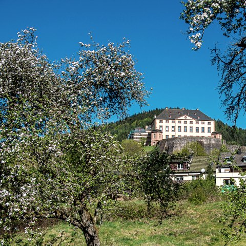 Schloss Malberg -Blick bei der Gemeindehalle Malberg, © Tourist-Information Bitburger Land_Monika Mayer